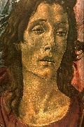 BOTTICELLI, Sandro San Barnaba Altarpiece (detail: head of St John) gdfg China oil painting reproduction